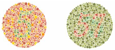 szín látás rendellenességek szín látás)